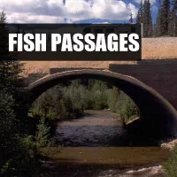 Fish Passages Button